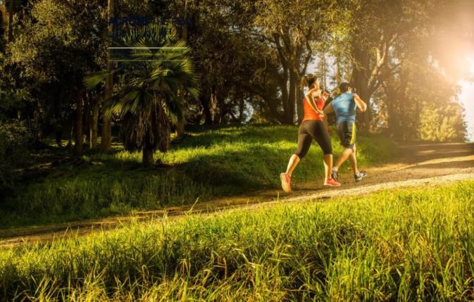 大揭秘|每天堅(jiān)持一萬(wàn)步，真的有用嗎？