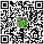 臨床研究業(yè)務(wù)