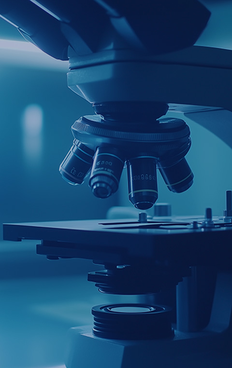 臨床前研究服務(wù)