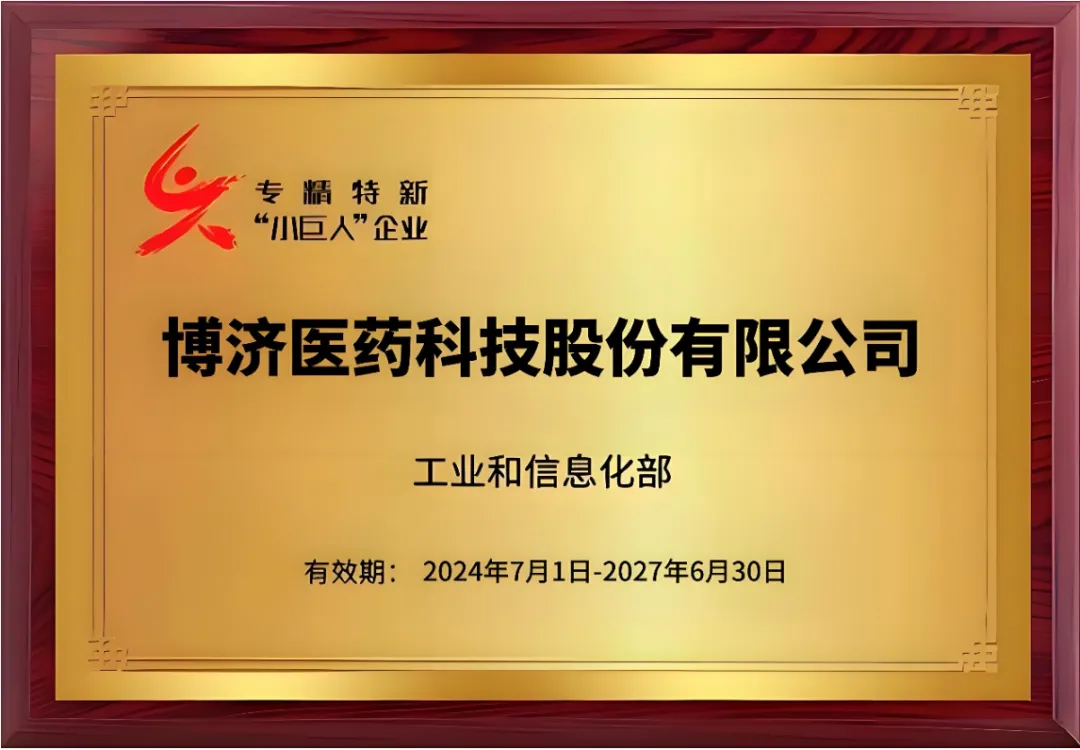 國家級專精特新“小巨人”企業(yè)