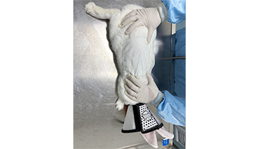 經(jīng)皮給藥包扎